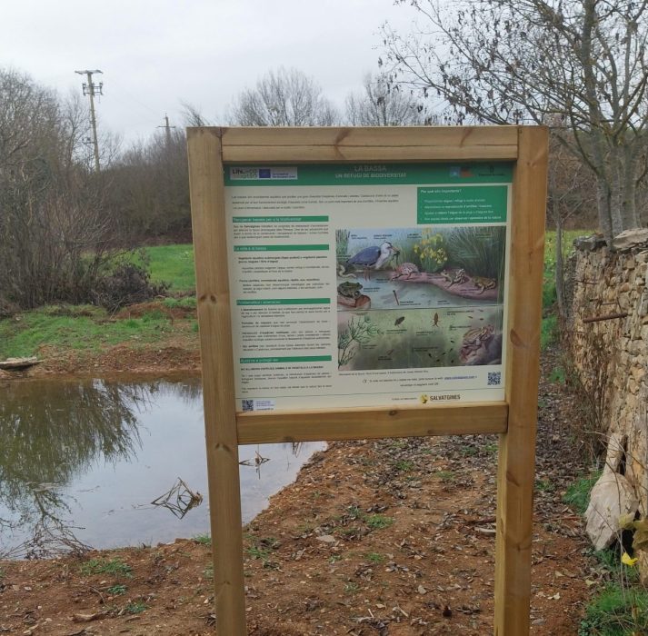 Panel para charca para amfibios en Fontsagrada, Lleida